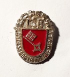 Odznaka Sportowy Związek Bremy (LSB)